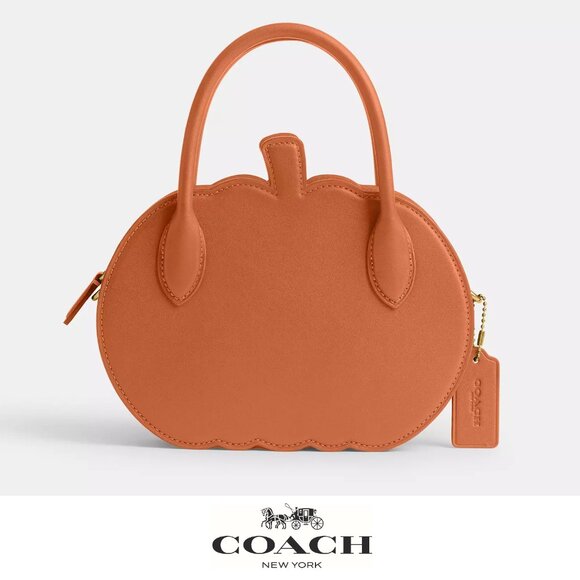 🎃 Coach pumpkin bag - Picture 2 of 12
